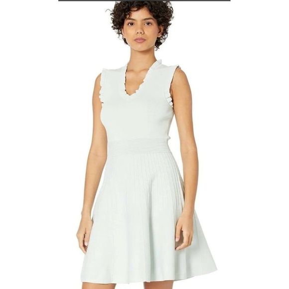 Ted Baker Riaan Mint Green Sweater Skater Dress Sz 8-10 M NWOT Pintelle  6154 Dresses